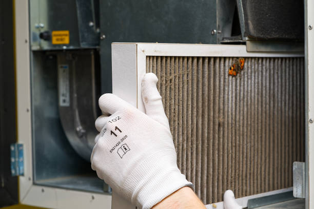 Best Duct Cleaning for Offices  in Federal Y, WA