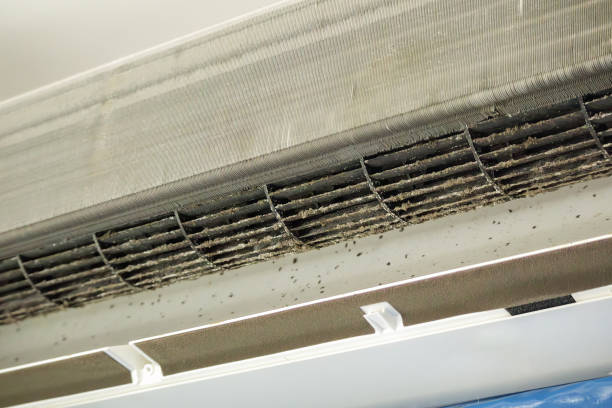 Best Residential Air Duct Cleaning  in Federal Y, WA